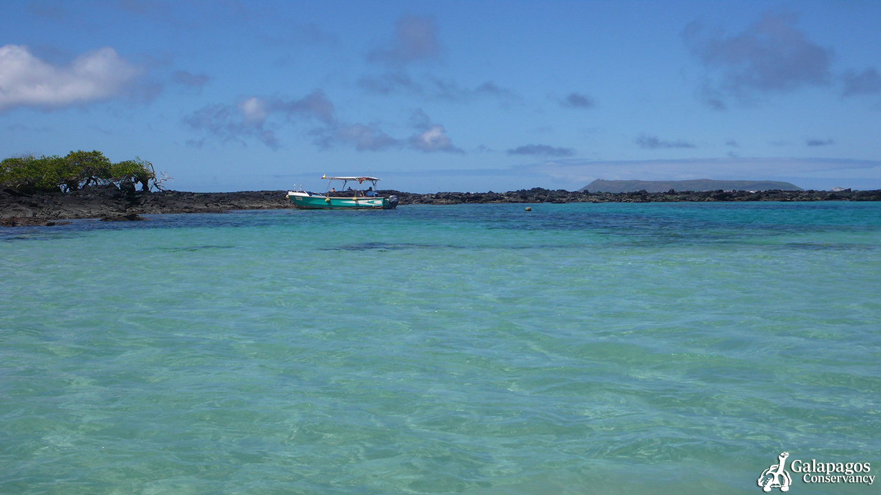 Galapagos 5 - Galapagos Lancha