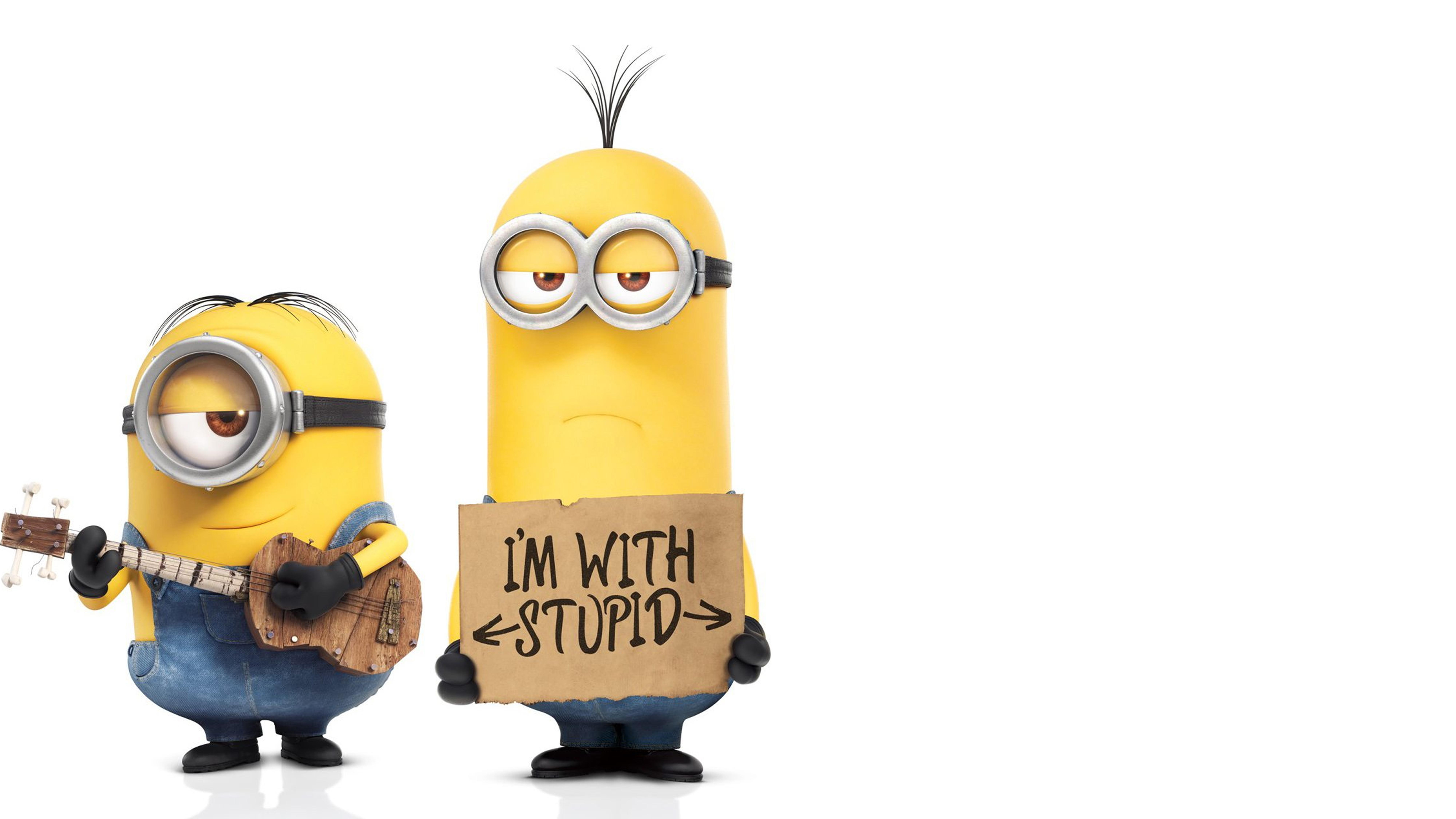 Minions - You can be with stupid
