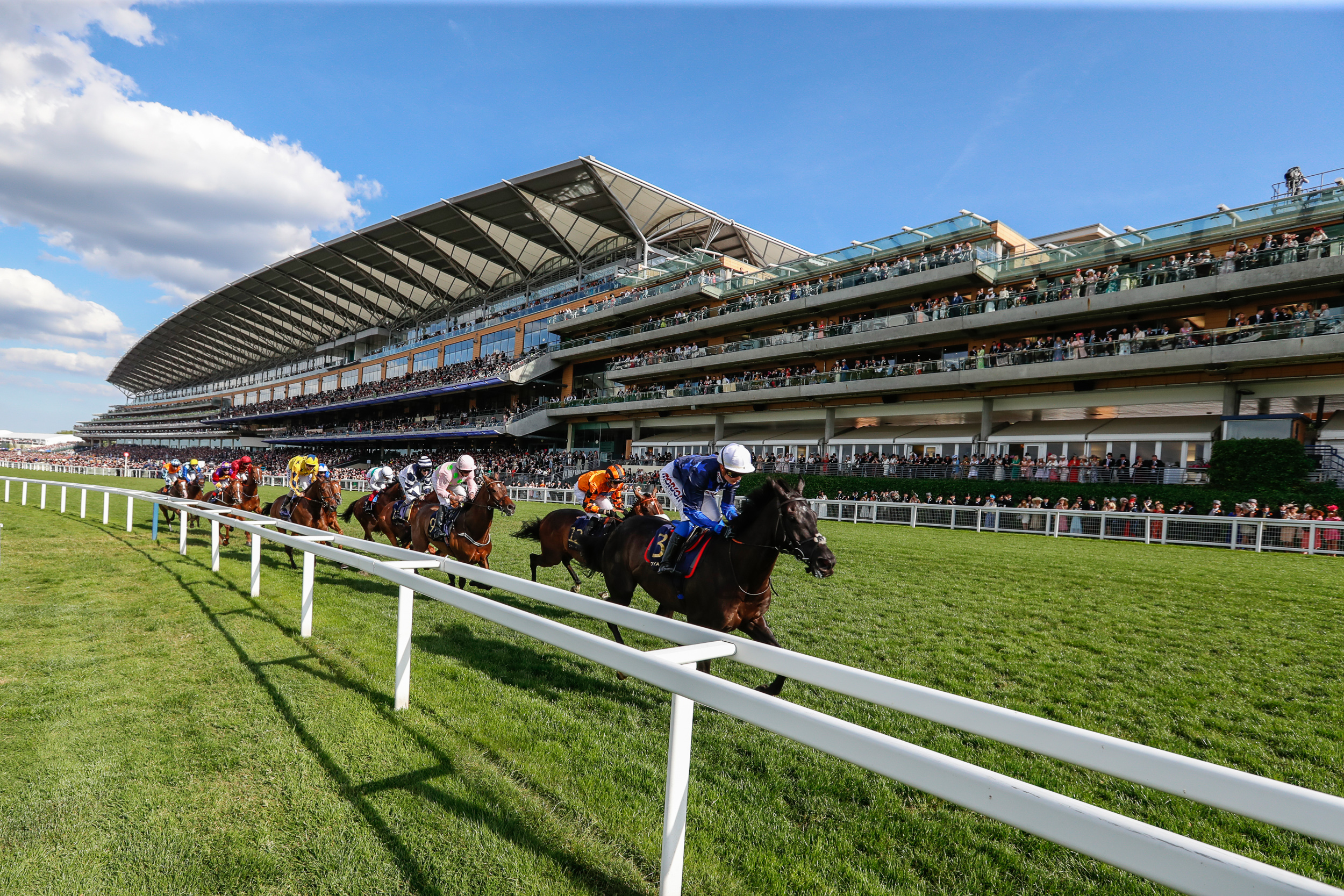 Royal Ascot 3 - Horse Racing In Action