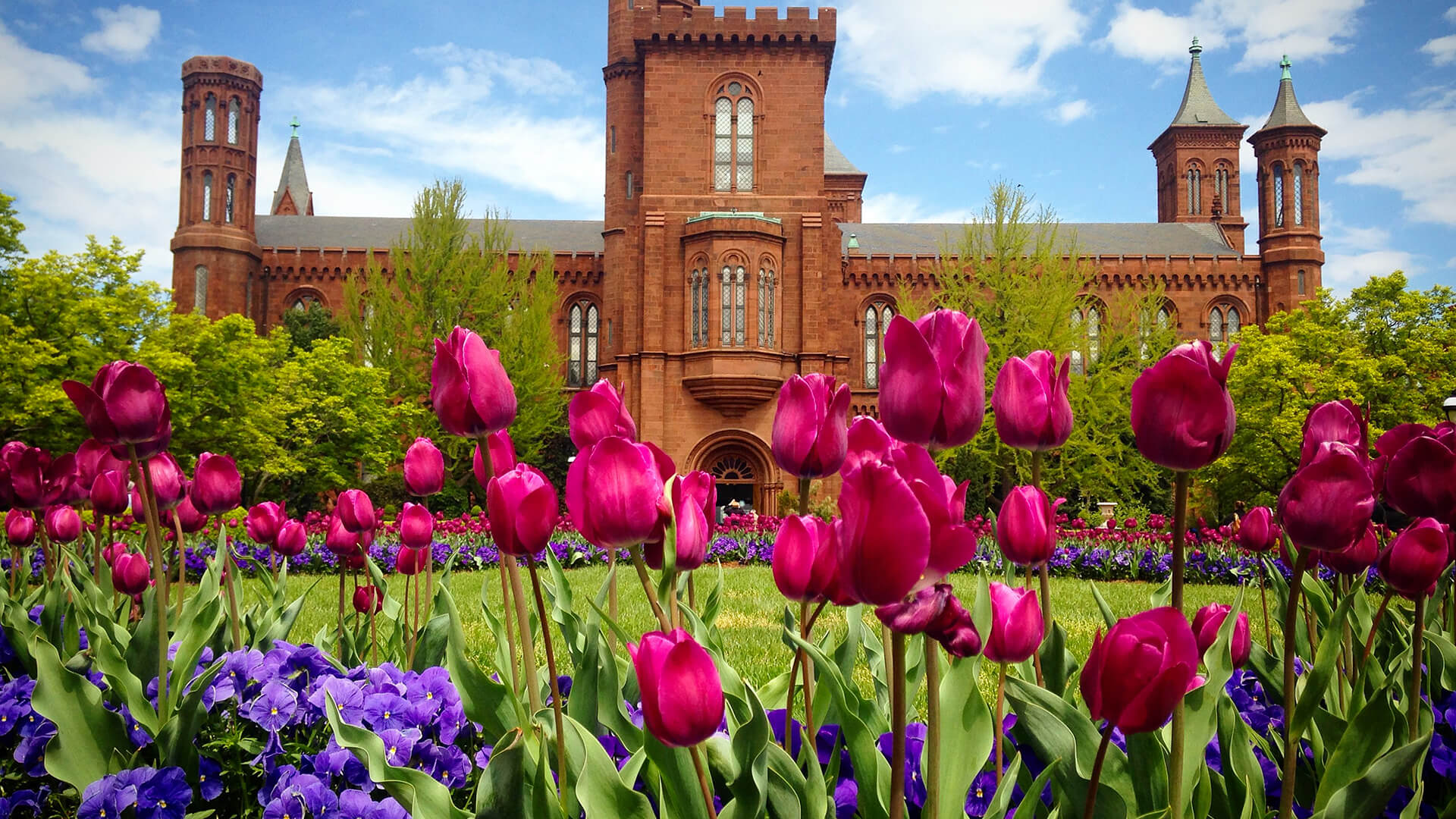 Smithsonian Gardens 1 - Spring Flowers Blooming on the Parterre in the Enid A. Haupt Garden