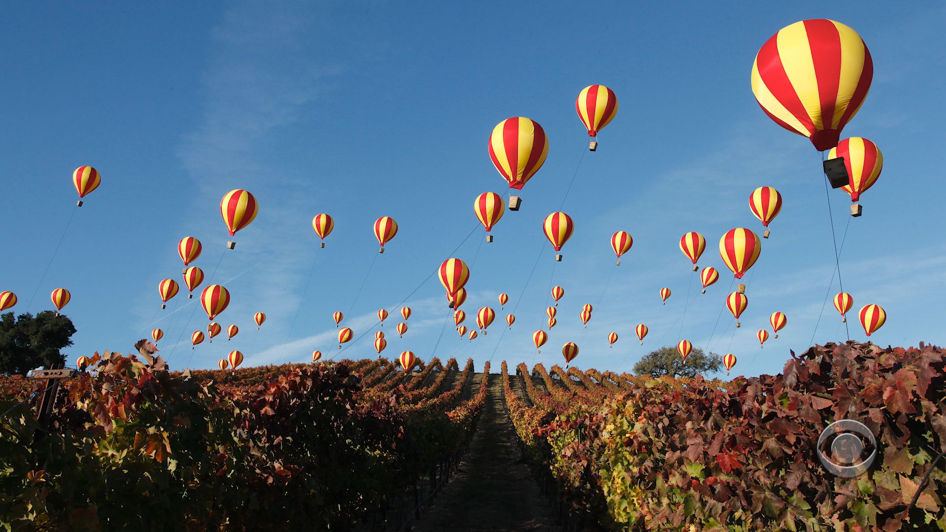 The Amazing Race - Balloons and sky landscape