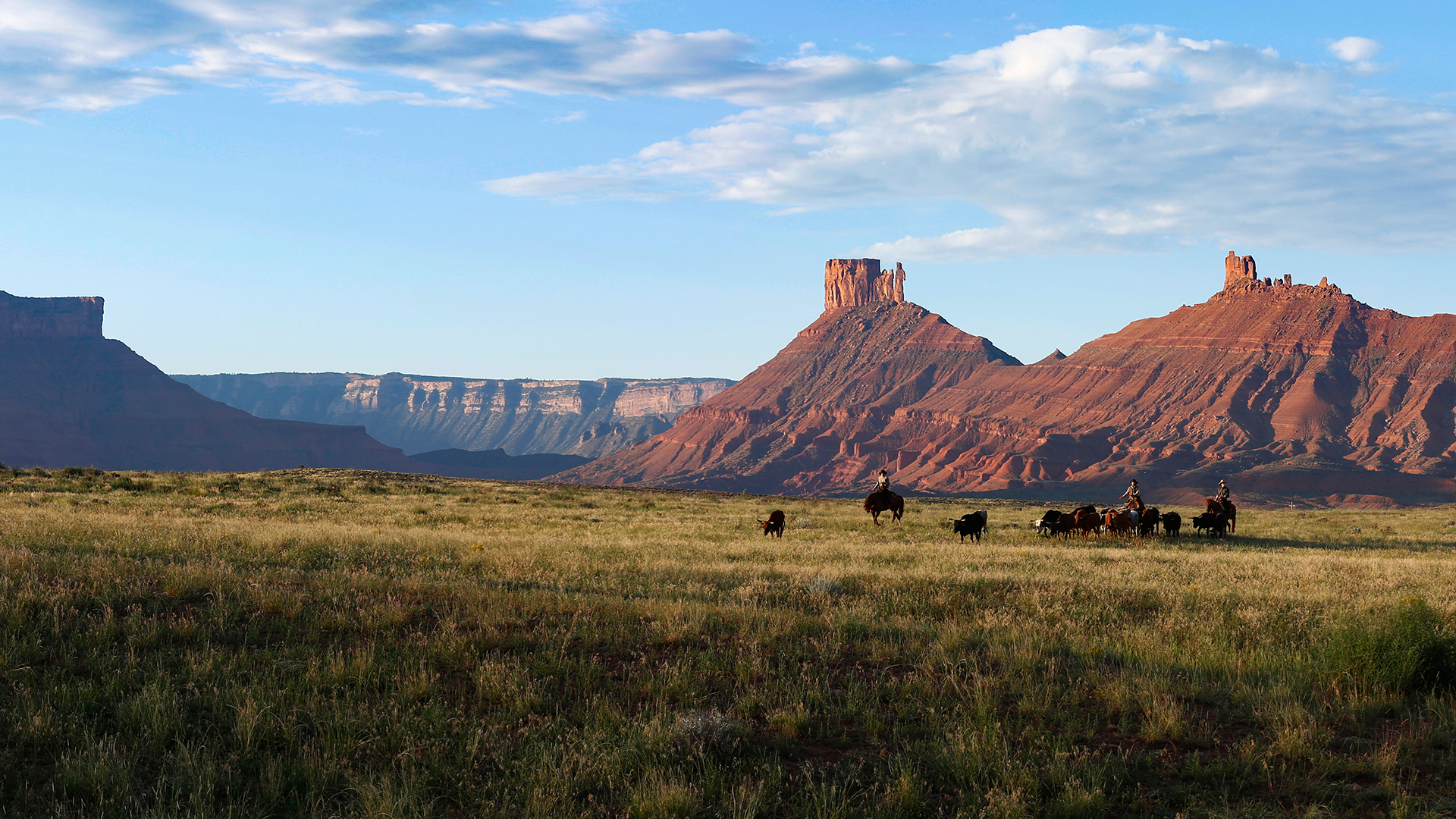 Westworld - Green grass landscape with horses and mountains