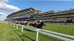 Royal Ascot 3 - Horse Racing In Action