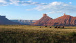 Westworld - Green grass landscape with horses and mountains