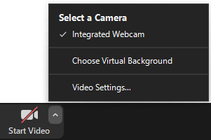 Zoom video menu options